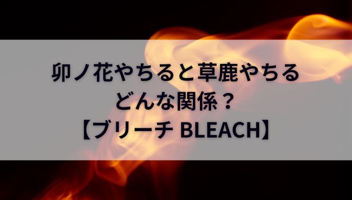 卯の花やちると草鹿やちるの関係は？